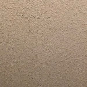 Meet your Posher, Dionico